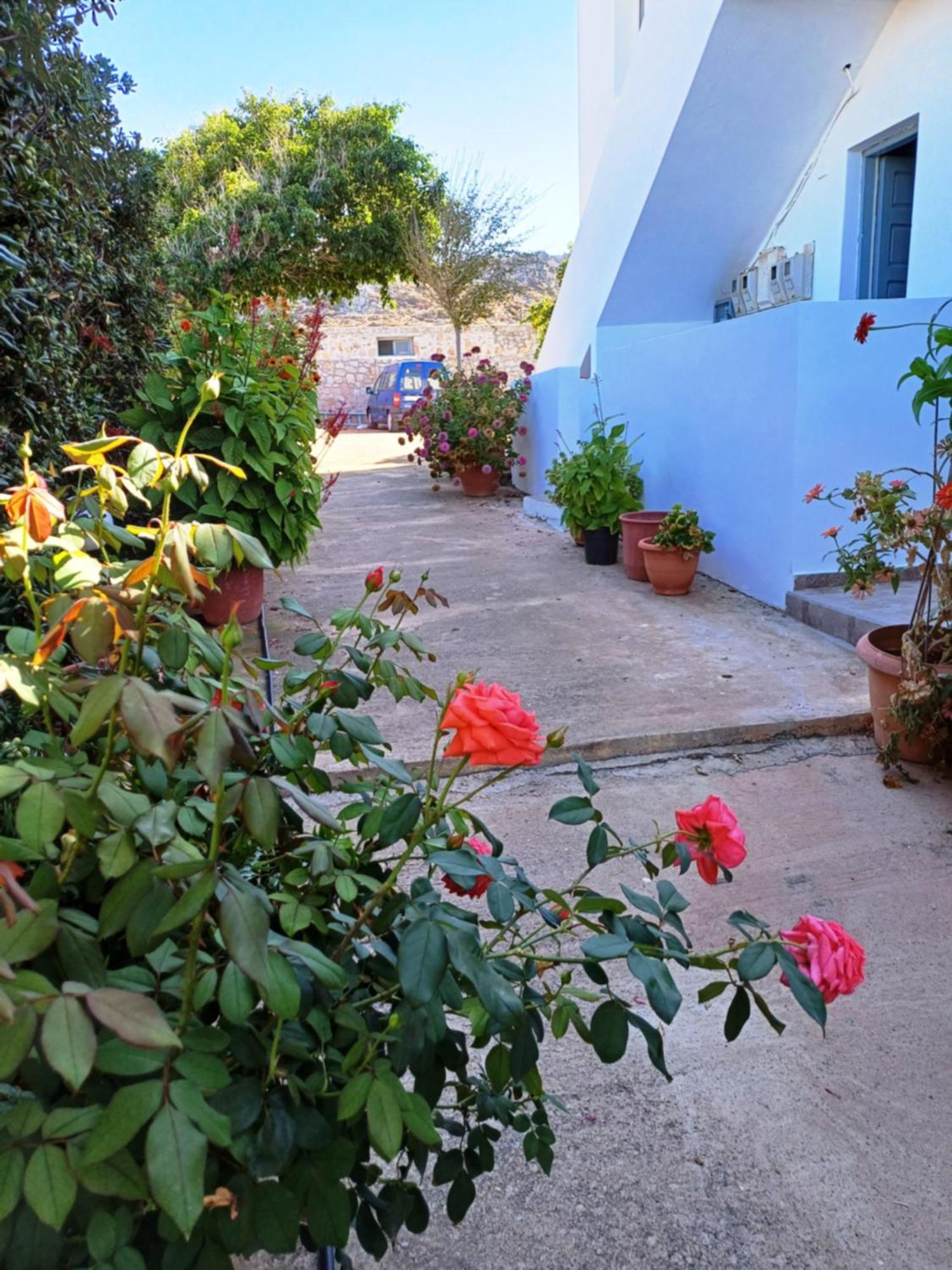 Nautilus Apartments سيسي المظهر الخارجي الصورة
